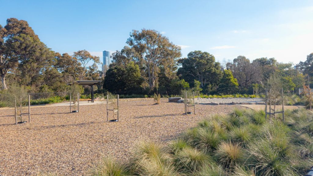 Quiet Zone At Thomas Oval Dog Park, South Yarra