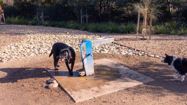 thomas oval dog park water station 768x432