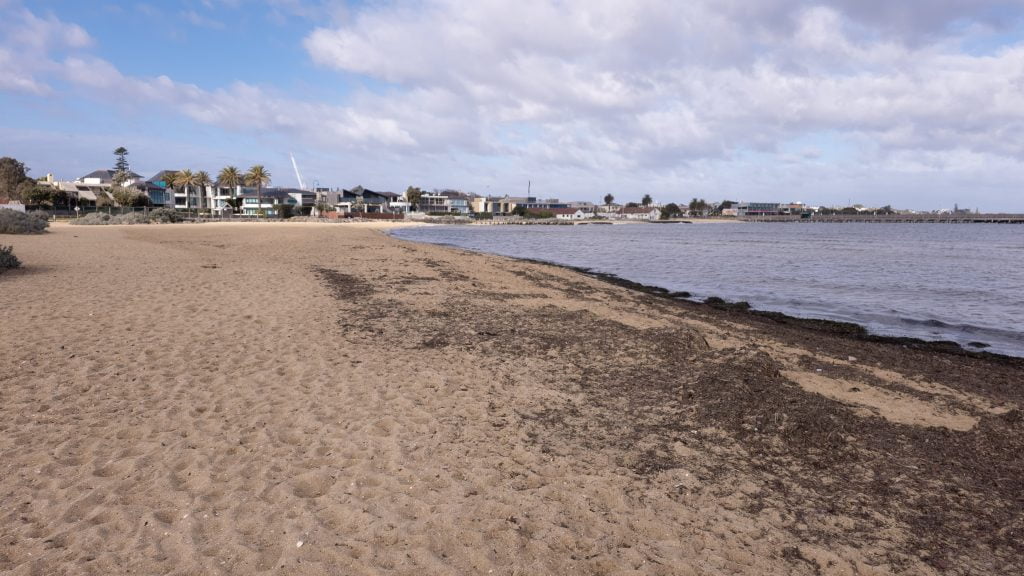 Sand Area at the Brighton Dog Beach