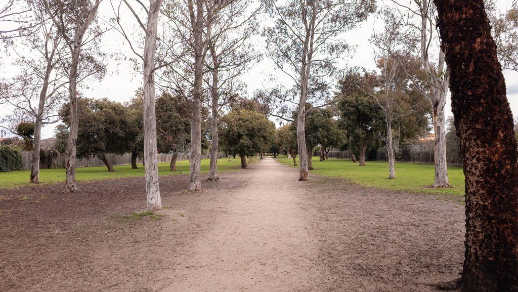Tree lined pathway at Farm Road Reserve Fenced Dog Park