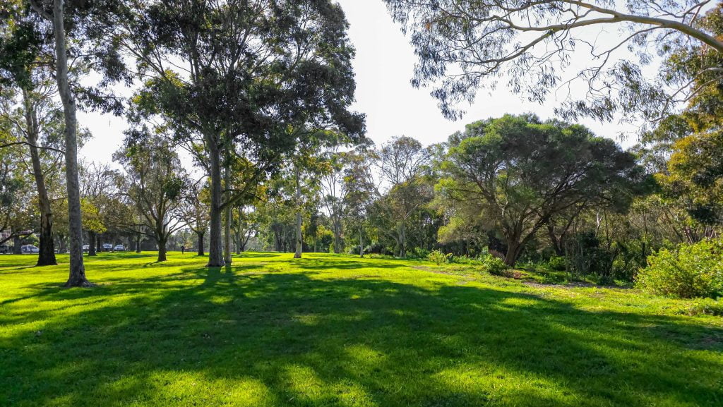 One of the many Off-Leash Areas at Qaurries Park Clifton Hill. Pleanty of trees, green grass and shade