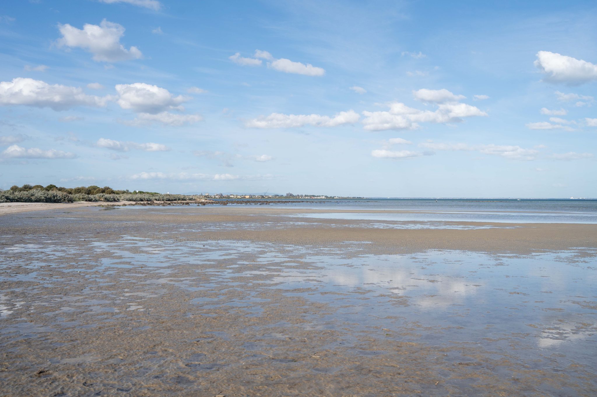 Altona Dog Beach: Shallow Waters, Scenic Views & Off-Leash Fun