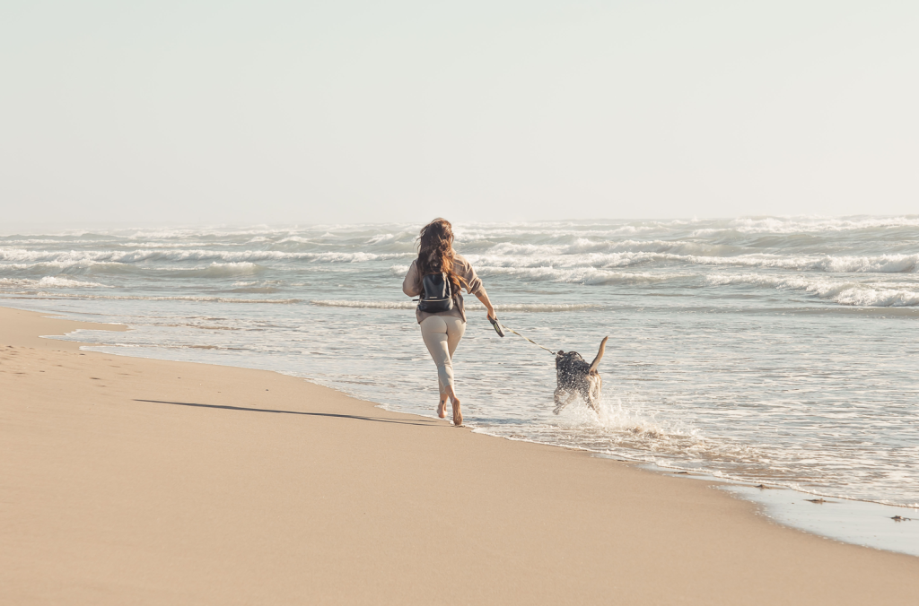 Dog and human running along beach