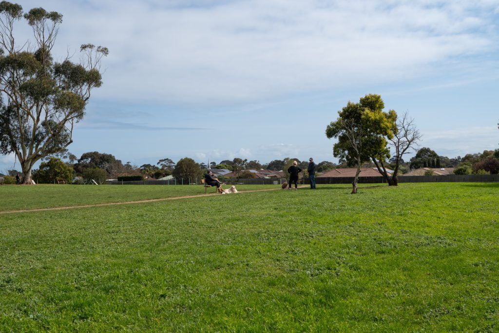 People gathering with their dogs at Dunns Road Reserve fenced dog park