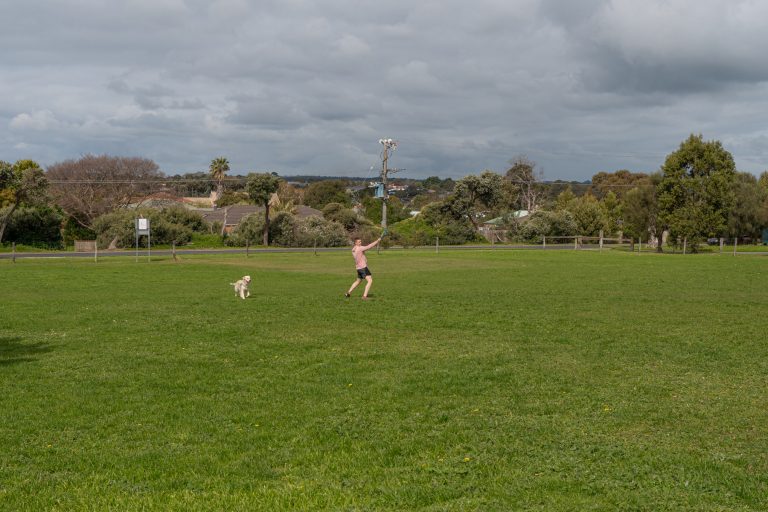 dunns road reserve dog fetch 768x512