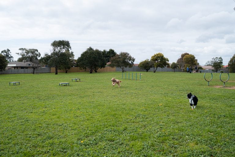 dunns road reserve dog park 768x512