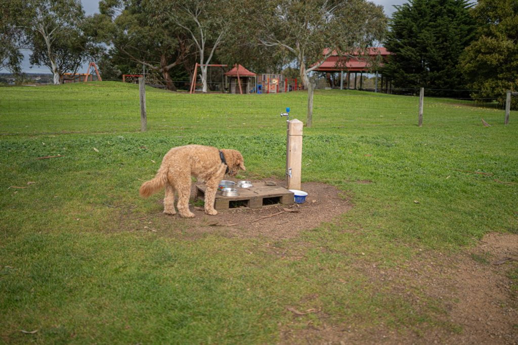 Water Station at the Dunns Road Reserve fenced dog park
