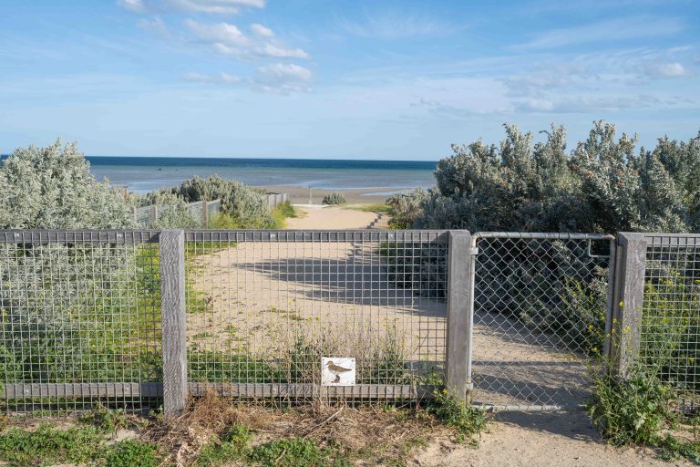 fenced dog beach altona 768x512