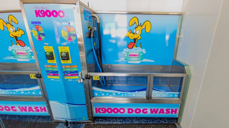seagulls pet laundromat diy dog wash 768x432