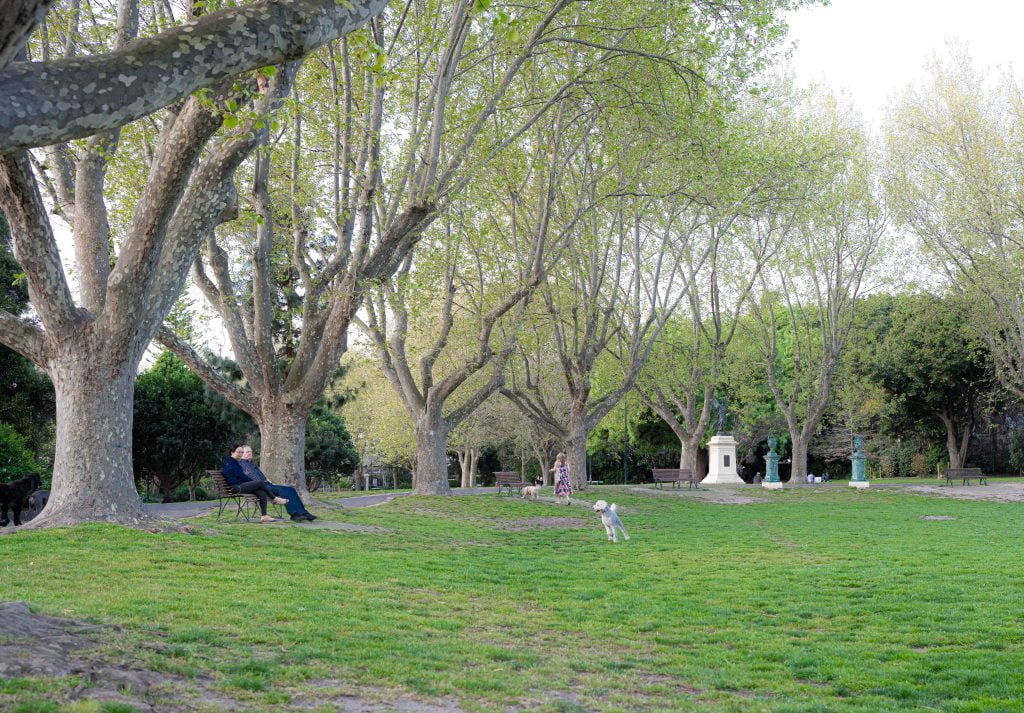 Dog playing and owners sitting at Victoria Gardens Dog Off Leash Area in Prahran