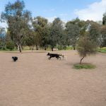 Gilpin Park fenced dog park in Brunswick