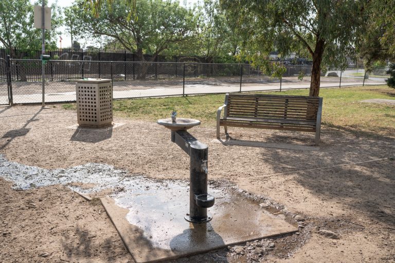 dog water fountain mcivor reserve 768x512