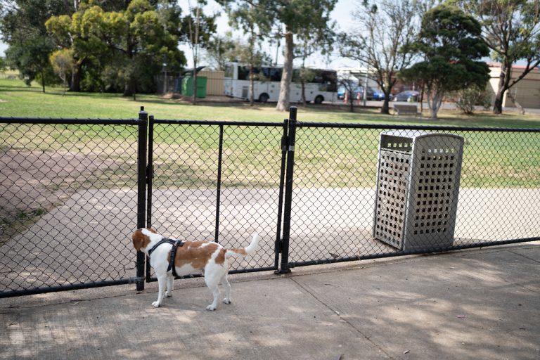 fenced dog park entry mcivor reserve 768x512