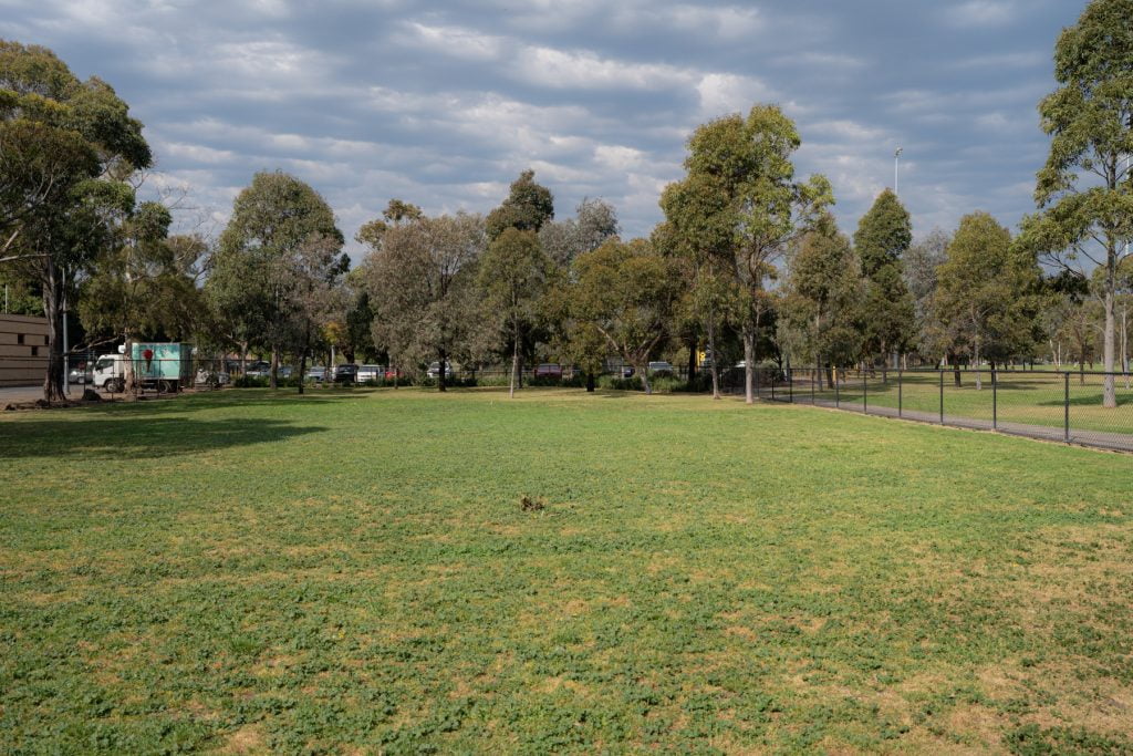 Grass area at McIvor Reserve Fenced Dog Park