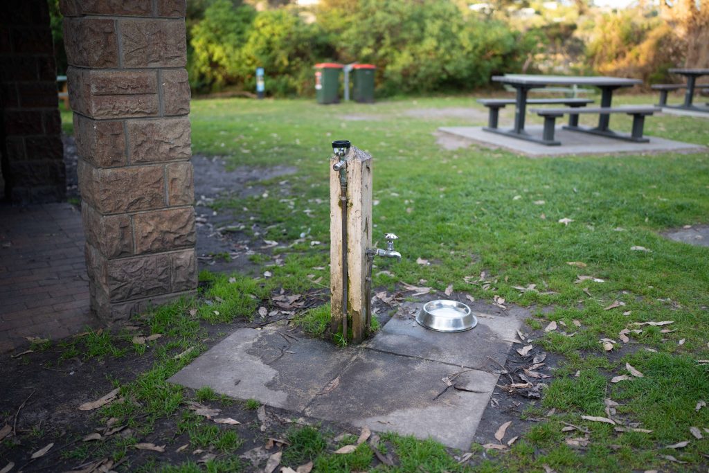 Dog water station at Balcombe Creek in Mount Martha