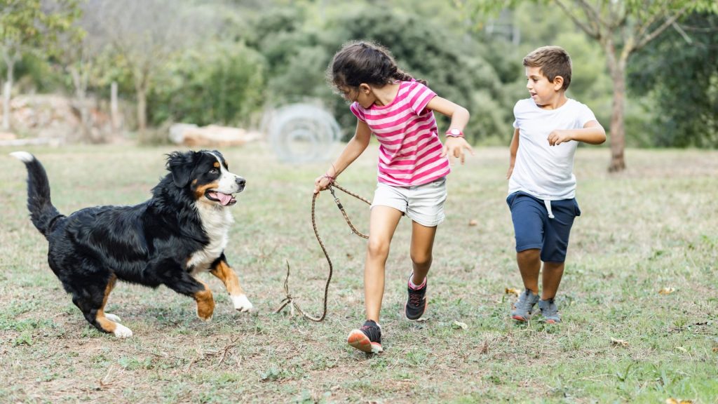kids playing with dog.