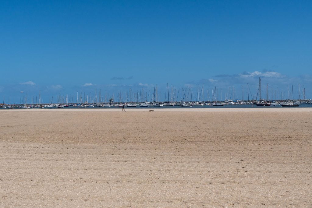 St Kilda West Dog Beach