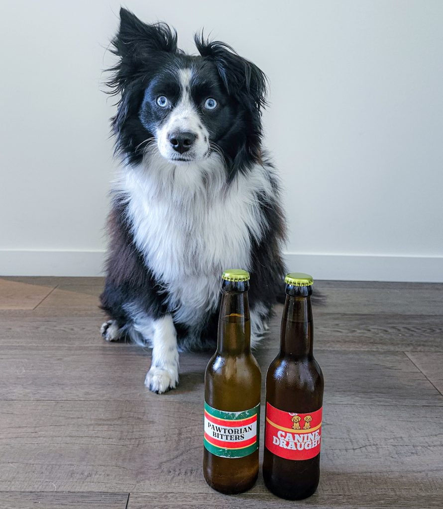 Dog Beers at From Park Road Per Store in West Melbourne