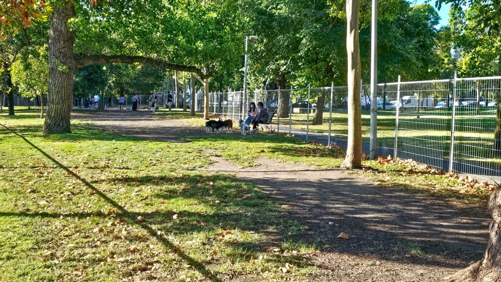 Melbourne dog park Eades park. People sitting with dogs.