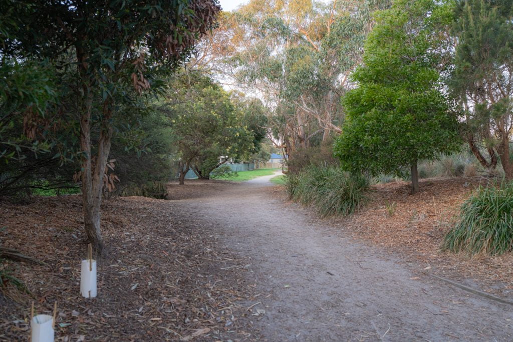 Pine Avenue Reserve walking path surrounded by local fauna