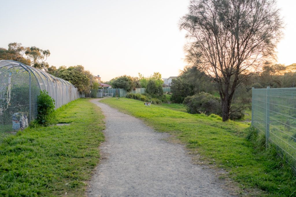 Walking path around Pine Avenue fenced dog park in Mornington