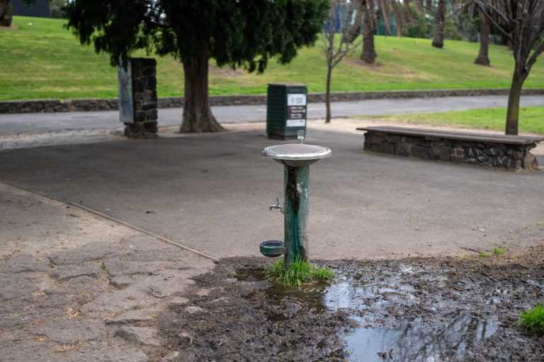 yarraville dog friendly water station 768x512