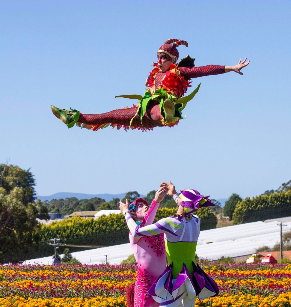 Acrobatics at Kabloom Tesselaar flower festival