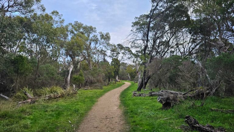 dog friendly mount martha park 768x432