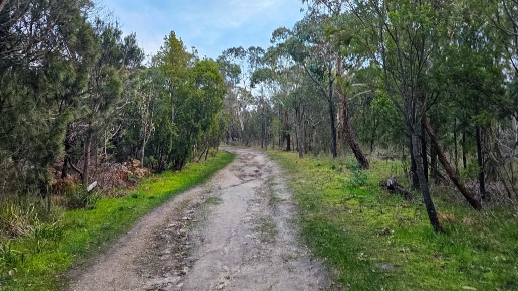 Dog friendly walking trail in Mount Martha with rough terrain