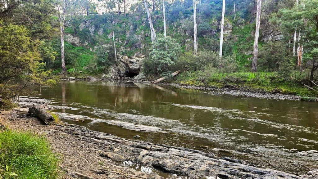 Norman Reserve Trail - Warrandyte State Park