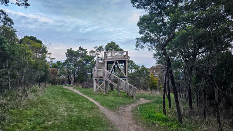 lookout mount martha park 768x432