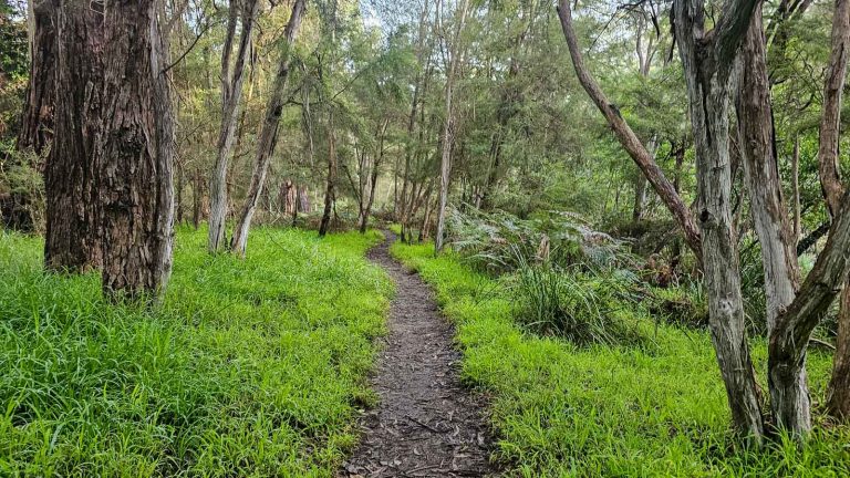 norman reserve trail warrandyte 768x432