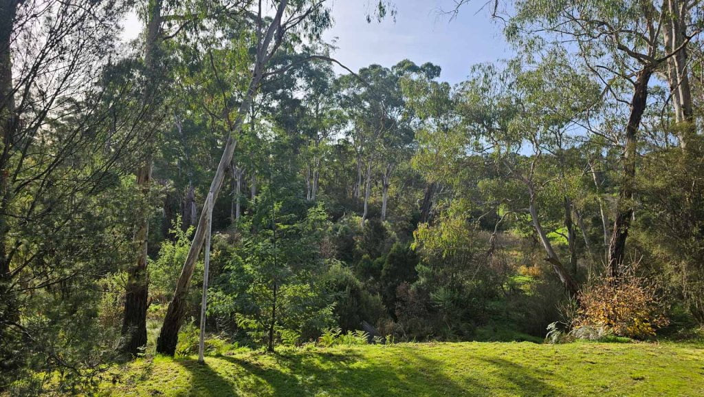 Photo of bushland view from Warrandyte Stonehouse Cafe