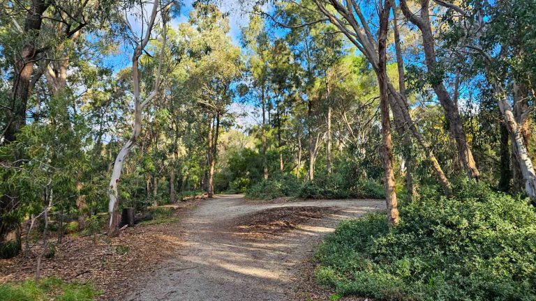 dirt path malvern urban forest 768x432