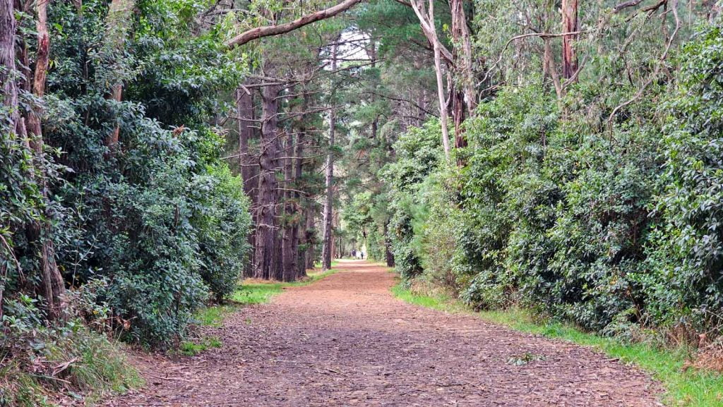 Red Hill Rail Trail