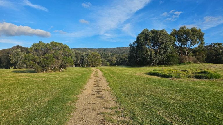 dromana hillview community reserve 768x432