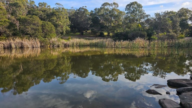 hillview community reserve dam 768x432