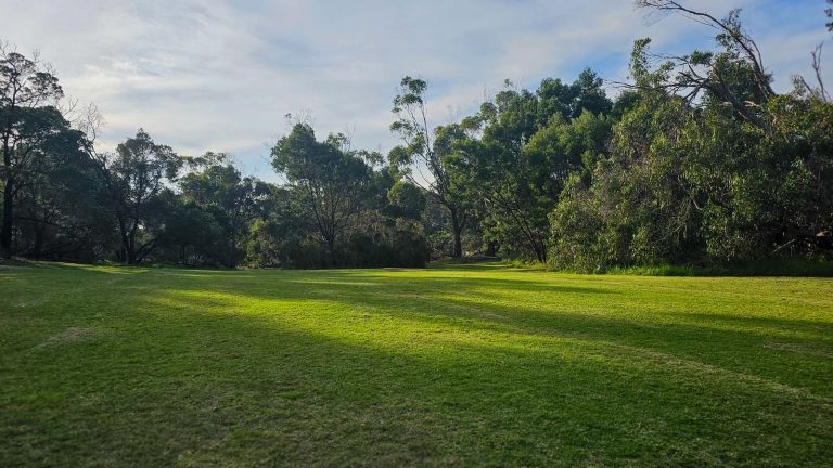 hillview community reserve off leash 768x432