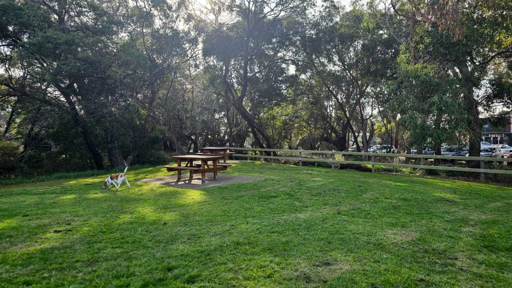 Hillview Community Reserve off-picnic area in Dromana