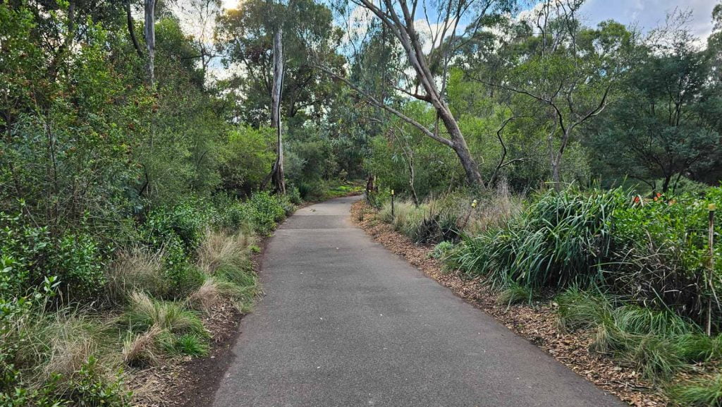 Accessible paved dog-friendly path at Malverns Urban Forest