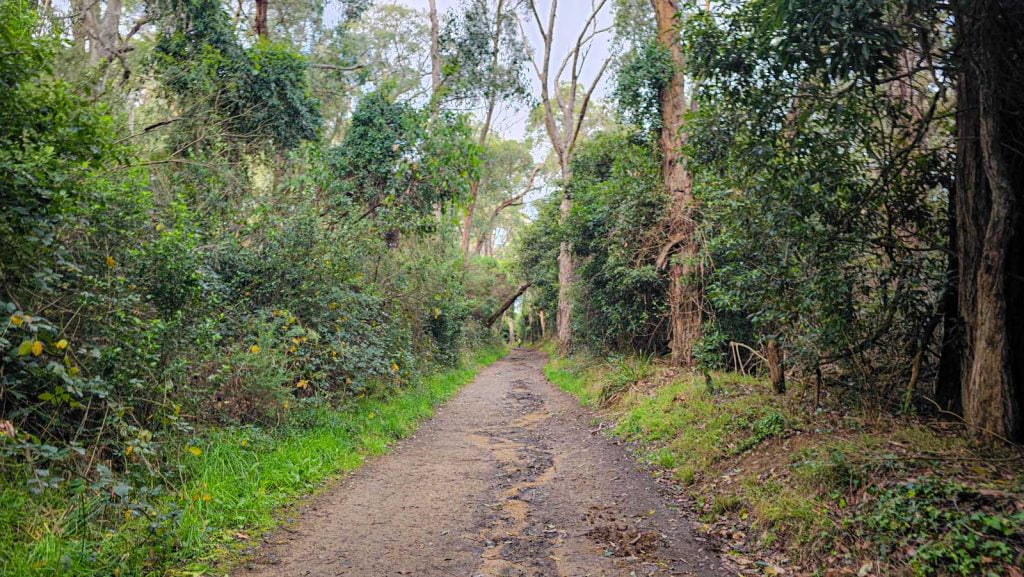 Red Hill Rail Trail walking path