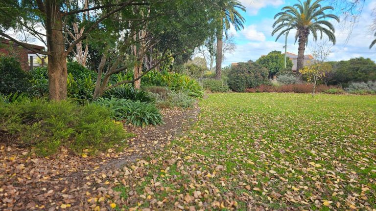 ardie park flora malvern east 768x432