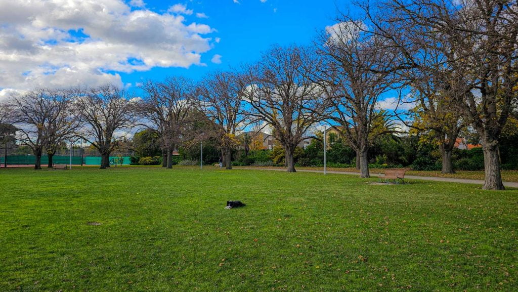 Ardie Park Off Leash area in Malvern East