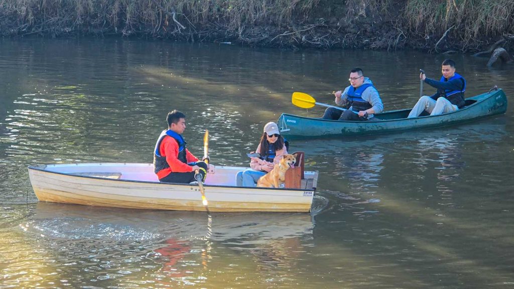 Dog-friendly Boat Hire on Yarra River