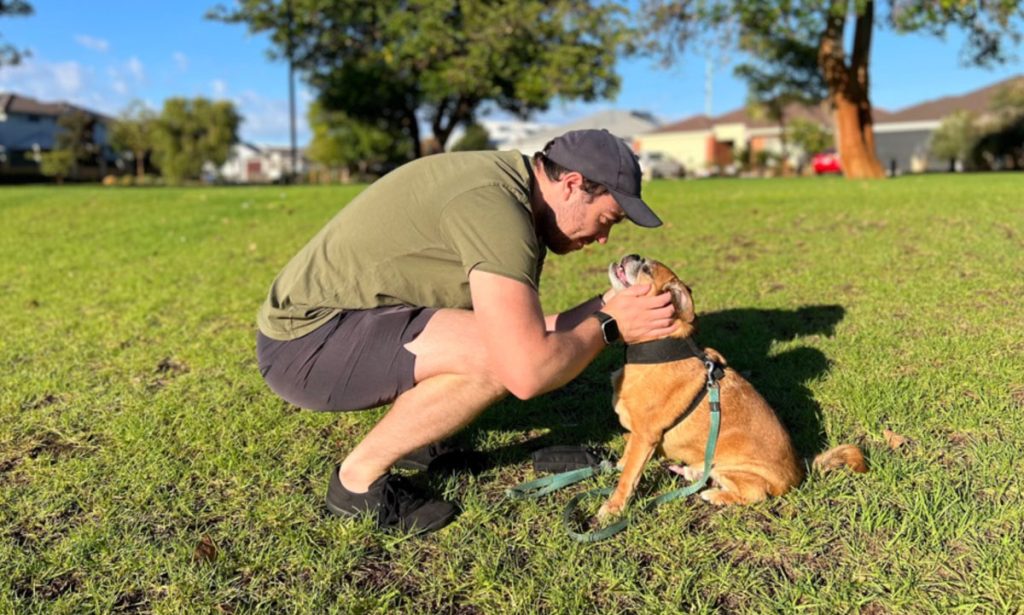 Pet Rescue helping homeless dogs in need