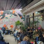 Project 281 dog-friendly cafe