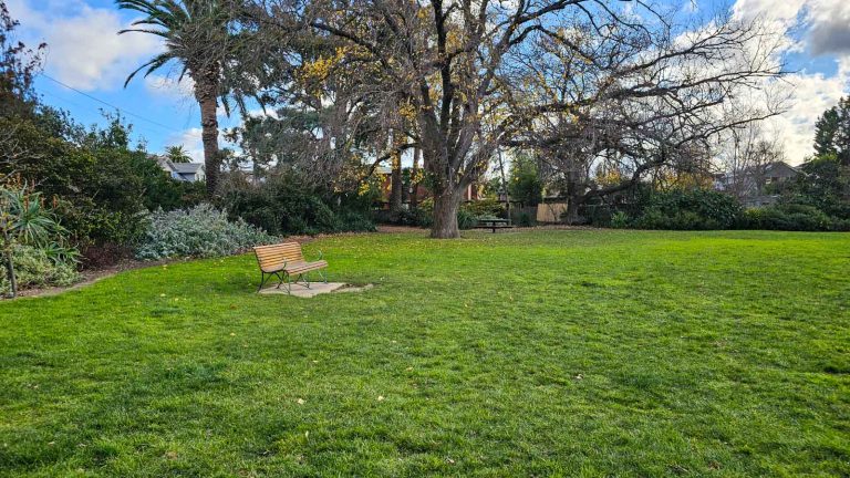 seating off leash ardie park 768x432