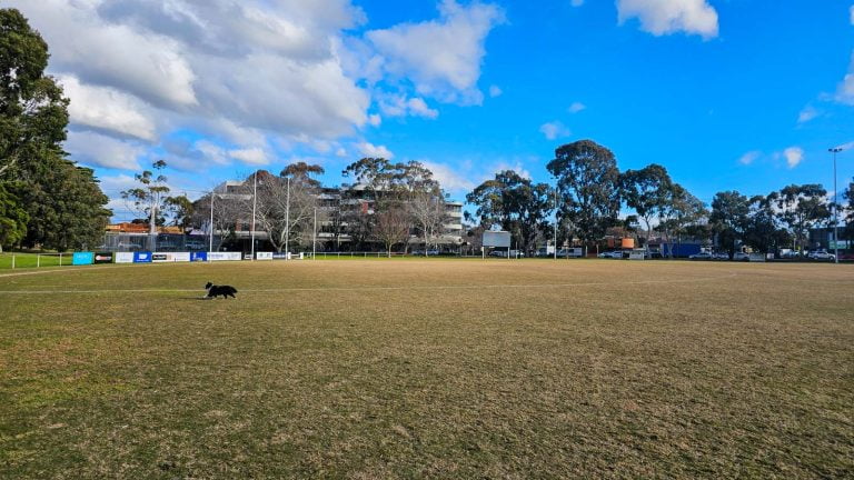 waverly oval malvern east 768x432