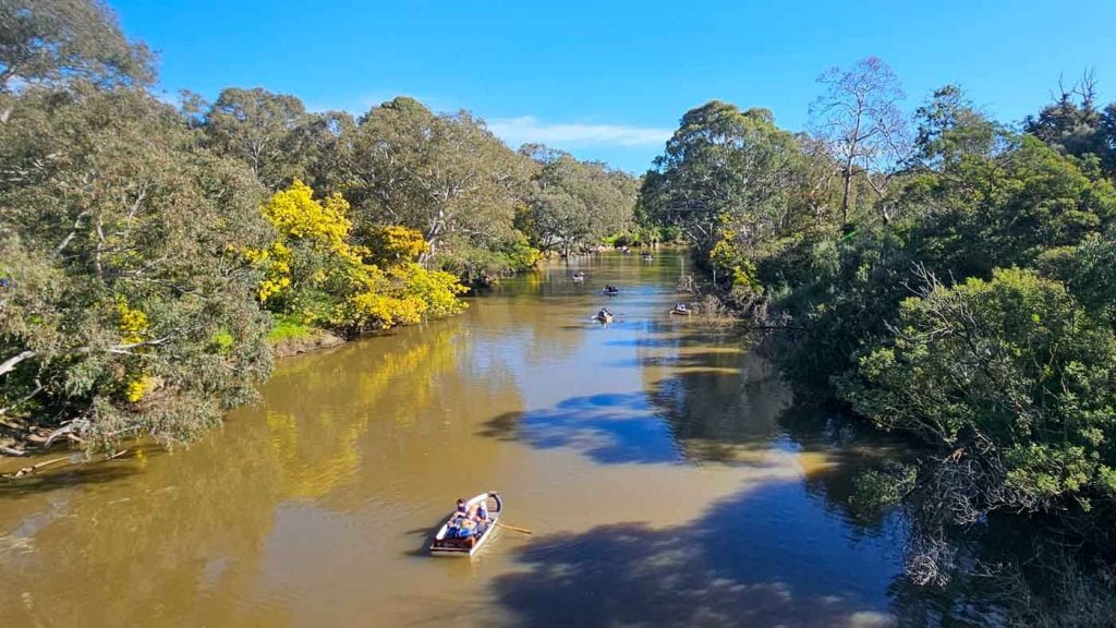 Hire boats on the Yarra River from Studley Park Boathouse. 