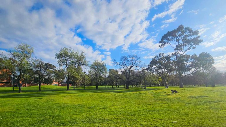 carlton.jpg princess park off leash 768x432